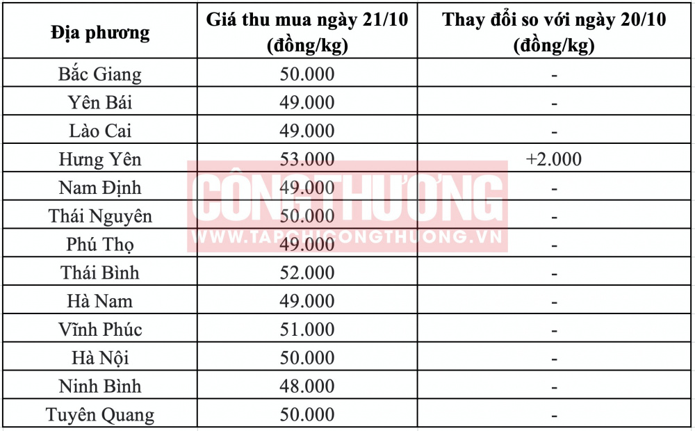 Giá heo hơi hôm nay tại miền Bắc Tạp