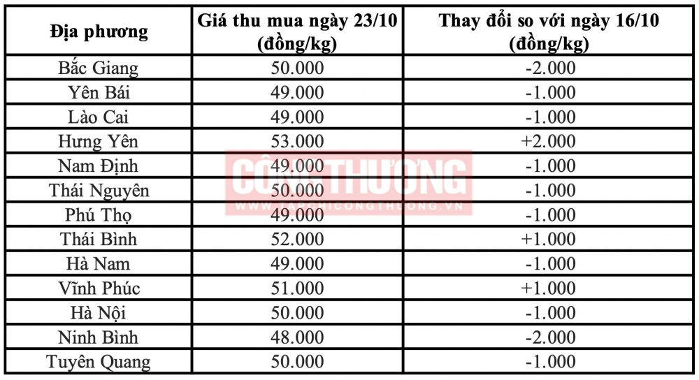 Giá heo hơi hôm nay tại miền Bắc Tạp