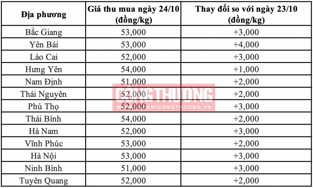 Giá heo hơi hôm nay 24/10: Tăng trên cả nước, cao nhất 4.000 đồng/kg