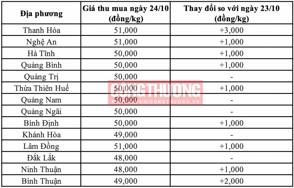 Giá heo hơi hôm nay 24/10: Tăng trên cả nước, cao nhất 4.000 đồng/kg