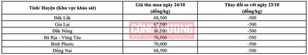 Giá tiêu hôm nay 24/10: Đồng loạt giảm 500 đồng/kg
