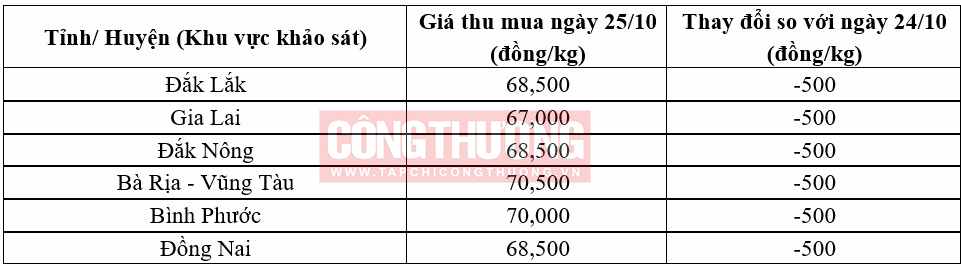 giá tiêu hôm nay