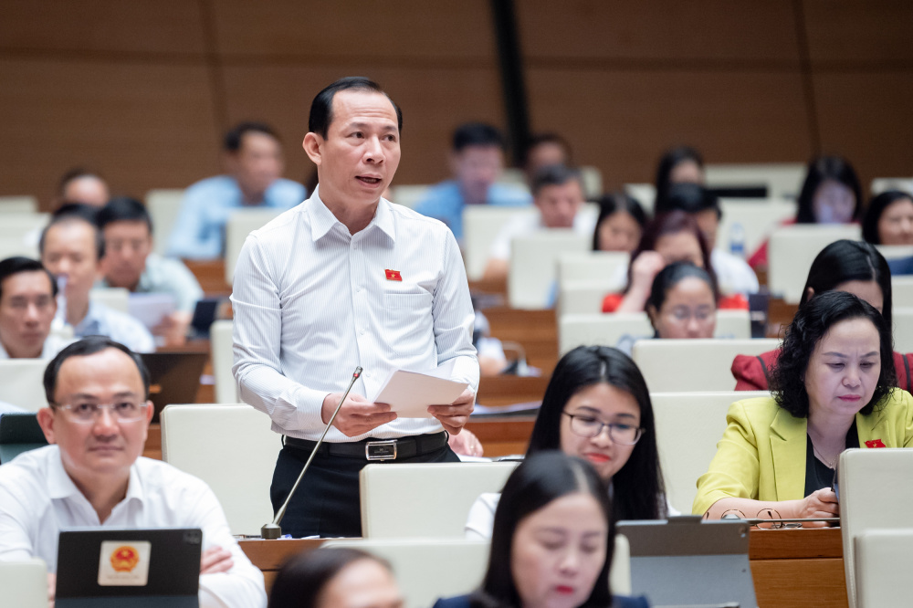 đại biểu Quốc hội Võ Mạnh Sơn