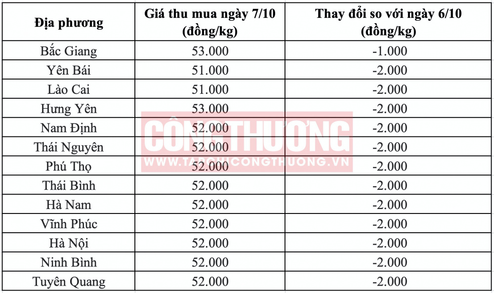 Giá heo hơi hôm nay tại miền Bắc Tạp