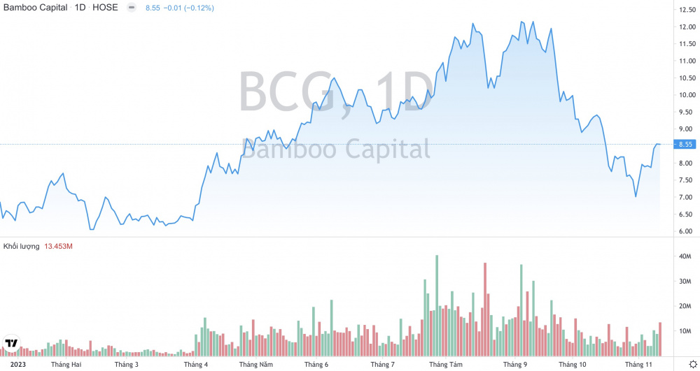 Giá cổ phiếu BCG Bamboo Capital