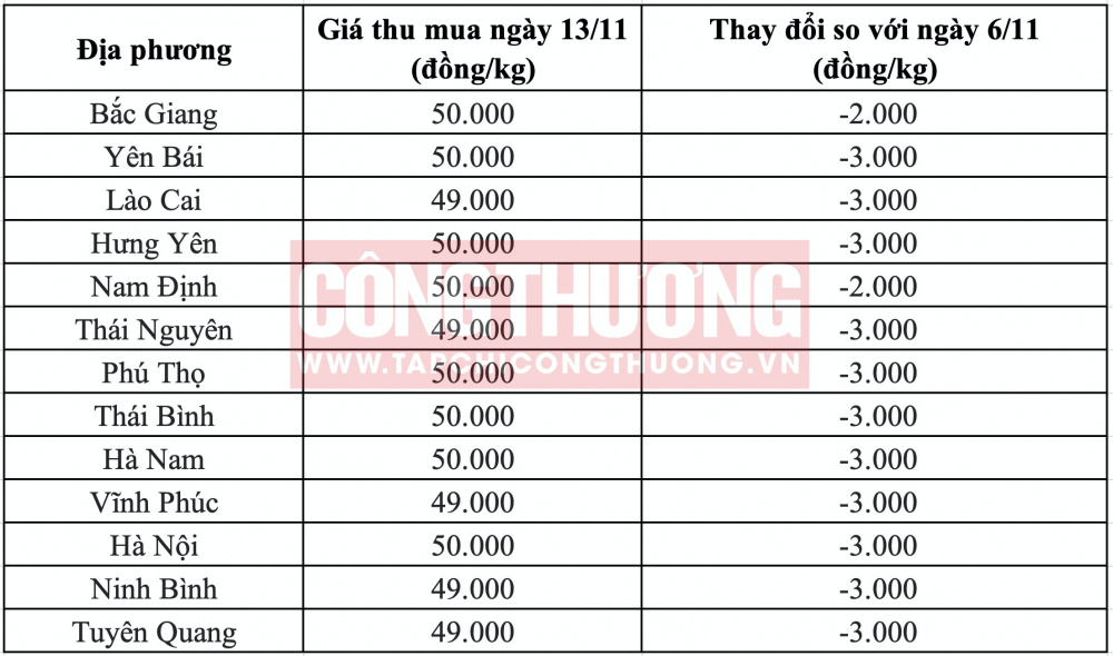 Giá heo hơi hôm nay tại miền Bắc Tạp
