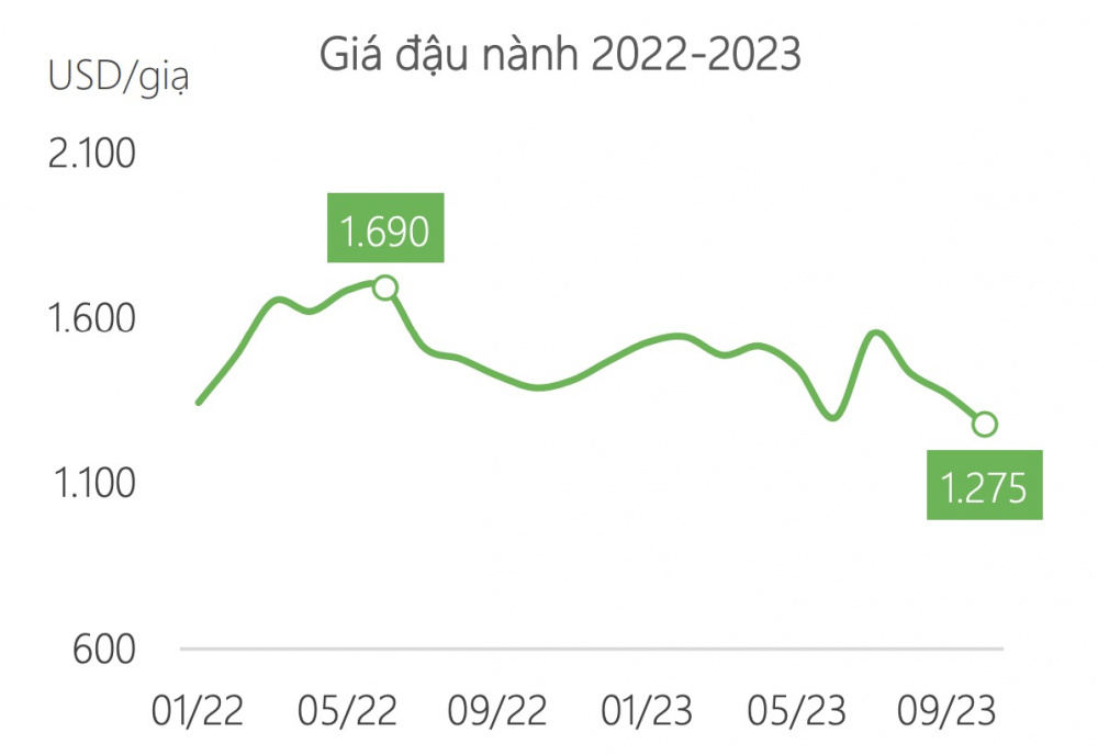 Giá đậu nành Đường Quảng Ngãi