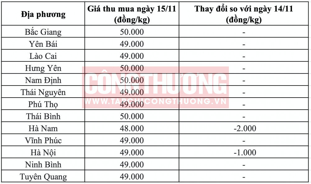Giá heo hơi hôm nay tại miền Bắc CWIN ✅ Nhà cái cờ bạc trực tuyến tốt nhất và Thương hiệu uy tín