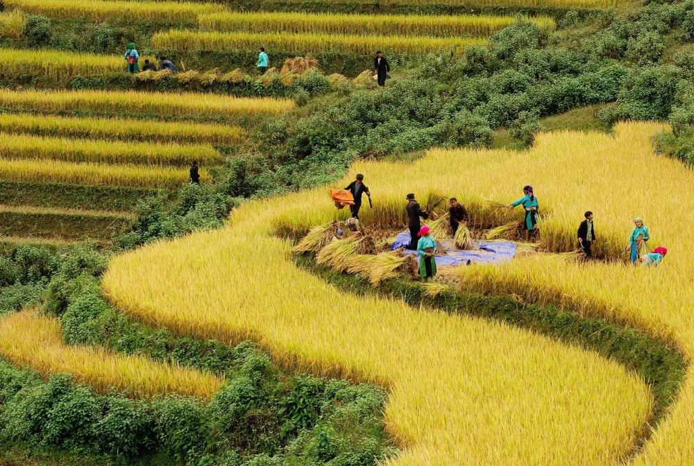 Luồng sinh khí mới cho thương mại miền núi, vùng sâu vùng xa, hải đảo