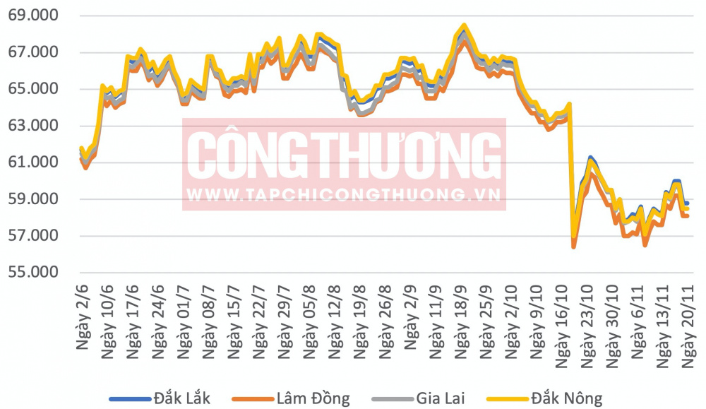 Giá cà phê hôm nay tại Tây Nguyên CWIN ✅ Nhà cái cờ bạc trực tuyến tốt nhất và Thương hiệu uy tín