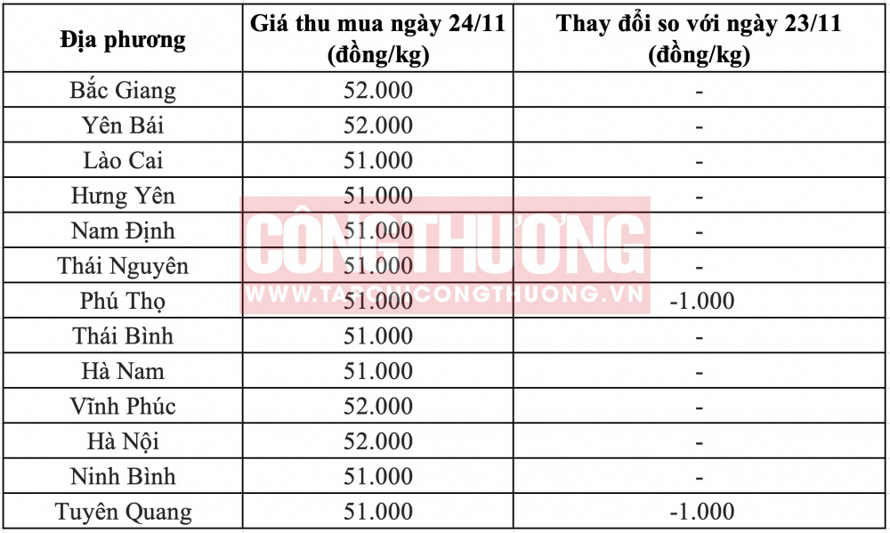 Giá heo hơi hôm nay tại miền Bắc CWIN ✅ Nhà cái cờ bạc trực tuyến tốt nhất và Thương hiệu uy tín