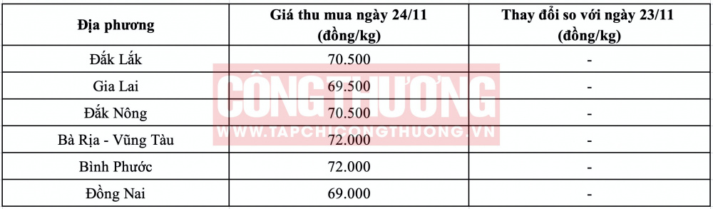 Giá tiêu hôm nay
