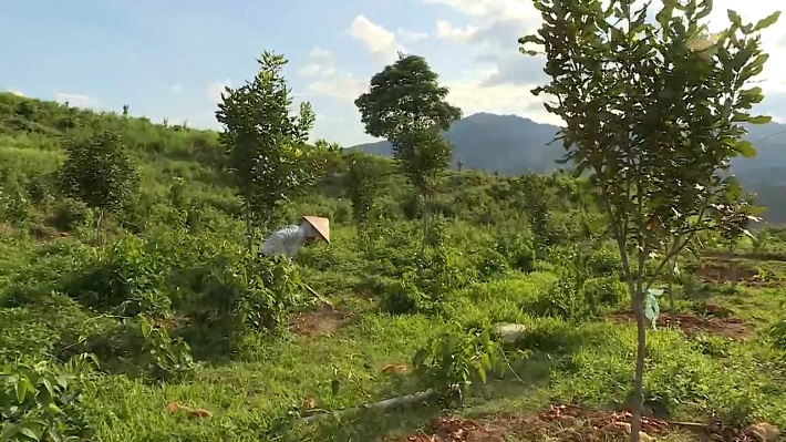 Điện Biên