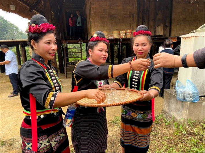 Tết hoa mào gà