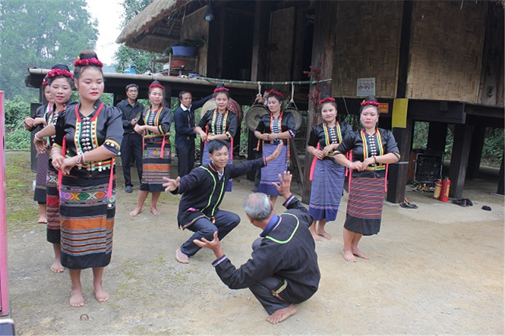 Tết hoa mào gà