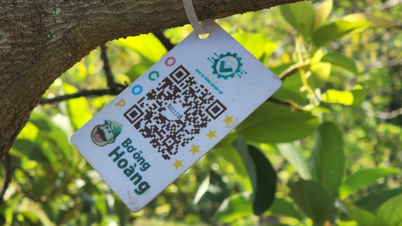 truy xuất nguồn gốc