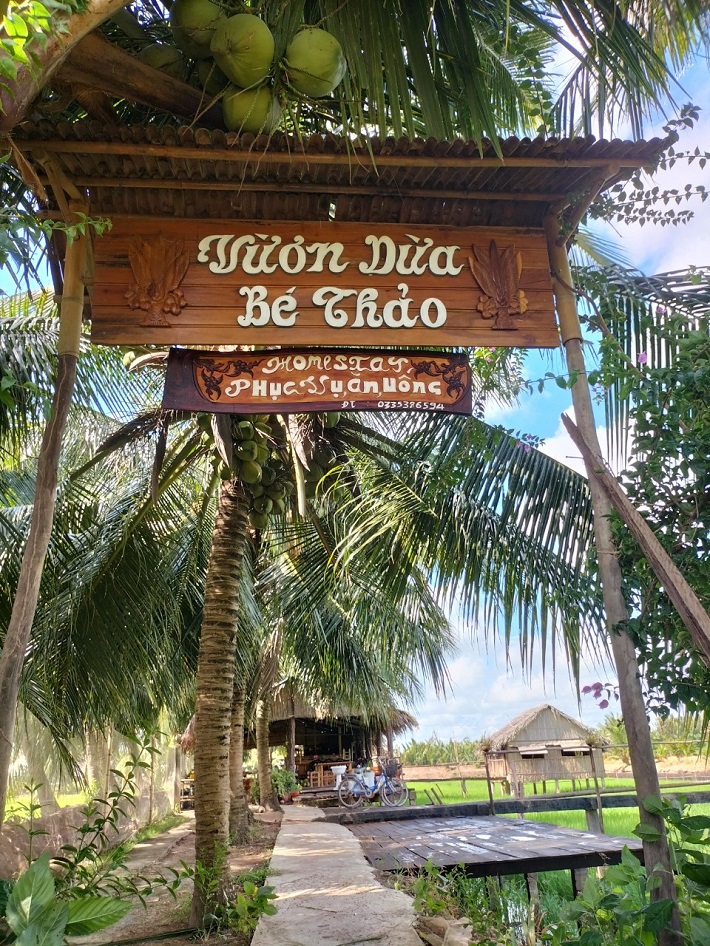 Vườn dừa béThảo