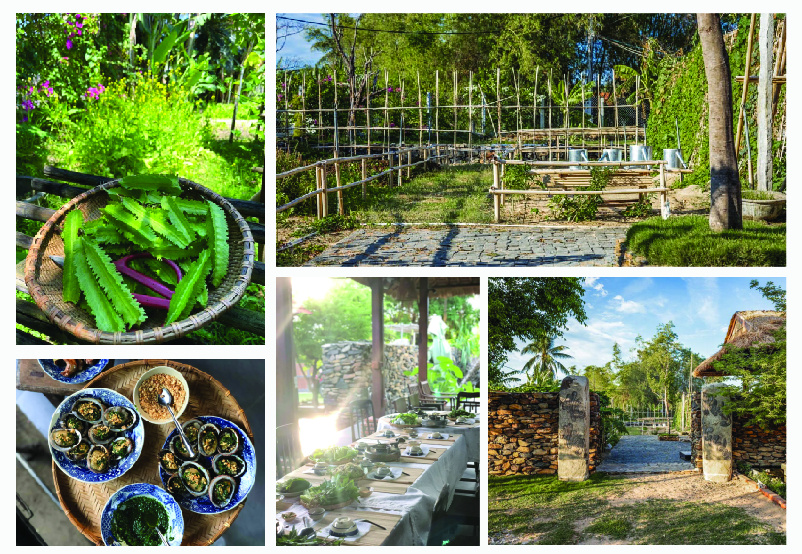 phu yen hang viet