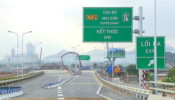 cao bo mai son