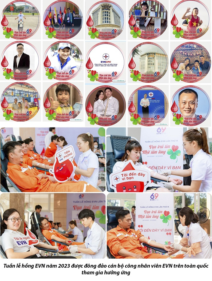 Tuần lễ hồng EVN
