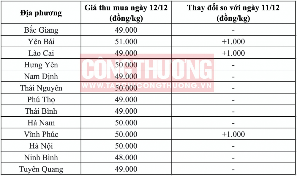 Giá heo hơi hôm nay tại miền Bắc CWIN ✅ Nhà cái cờ bạc trực tuyến tốt nhất và Thương hiệu uy tín