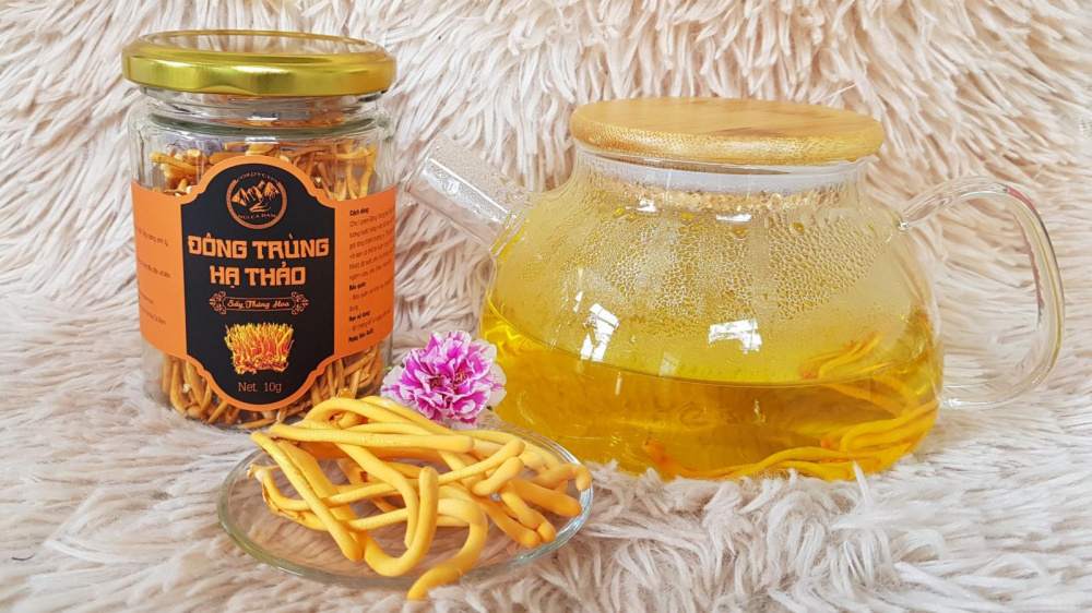 Đông trùng Hạ thảo