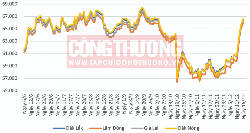 Giá cà phê hôm nay CWIN ✅ Nhà cái cờ bạc trực tuyến tốt nhất và Thương hiệu uy tín