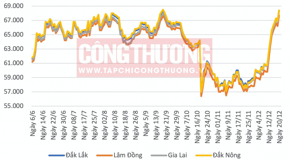 Giá cà phê hôm nay CWIN ✅ Nhà cái cờ bạc trực tuyến tốt nhất và Thương hiệu uy tín
