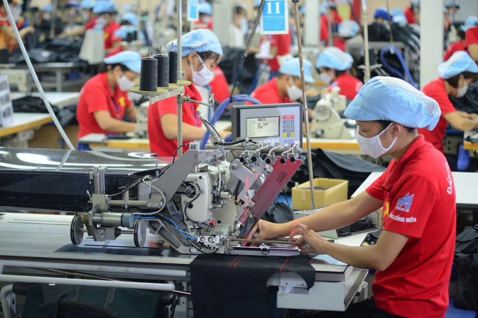 thị trường nội địa