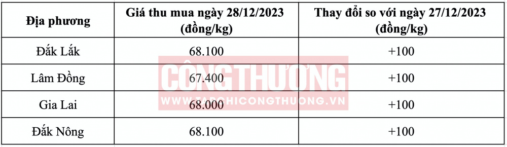 Giá cà phê hôm nay CWIN ✅ Nhà cái cờ bạc trực tuyến tốt nhất và Thương hiệu uy tín