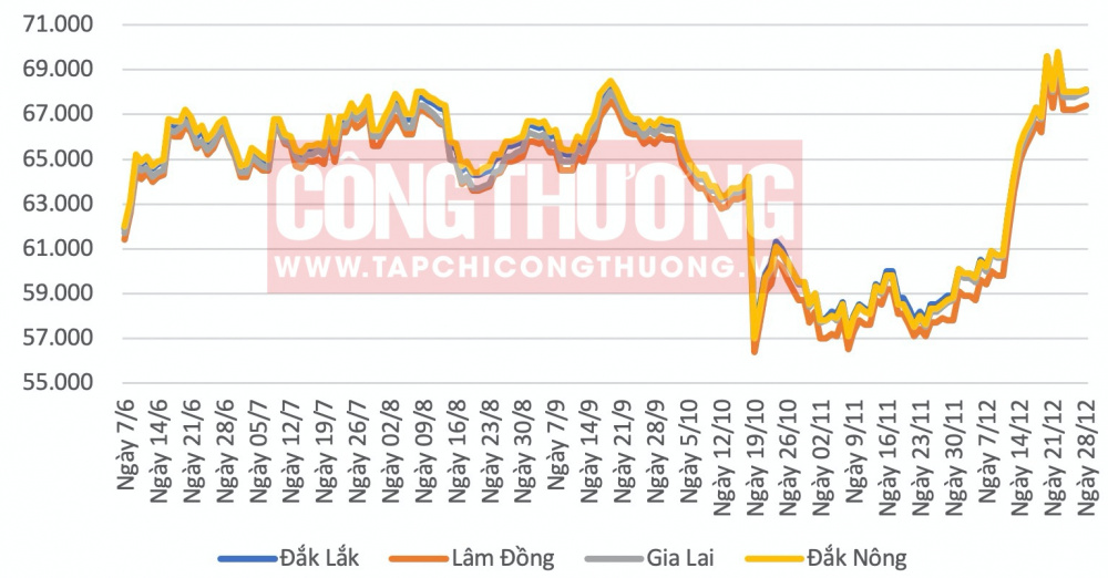 Giá cà phê hôm nay CWIN ✅ Nhà cái cờ bạc trực tuyến tốt nhất và Thương hiệu uy tín