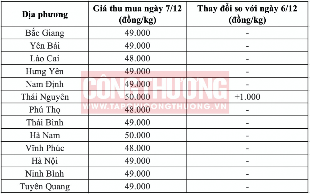 Giá heo hơi hôm nay tại miền Bắc CWIN ✅ Nhà cái cờ bạc trực tuyến tốt nhất và Thương hiệu uy tín