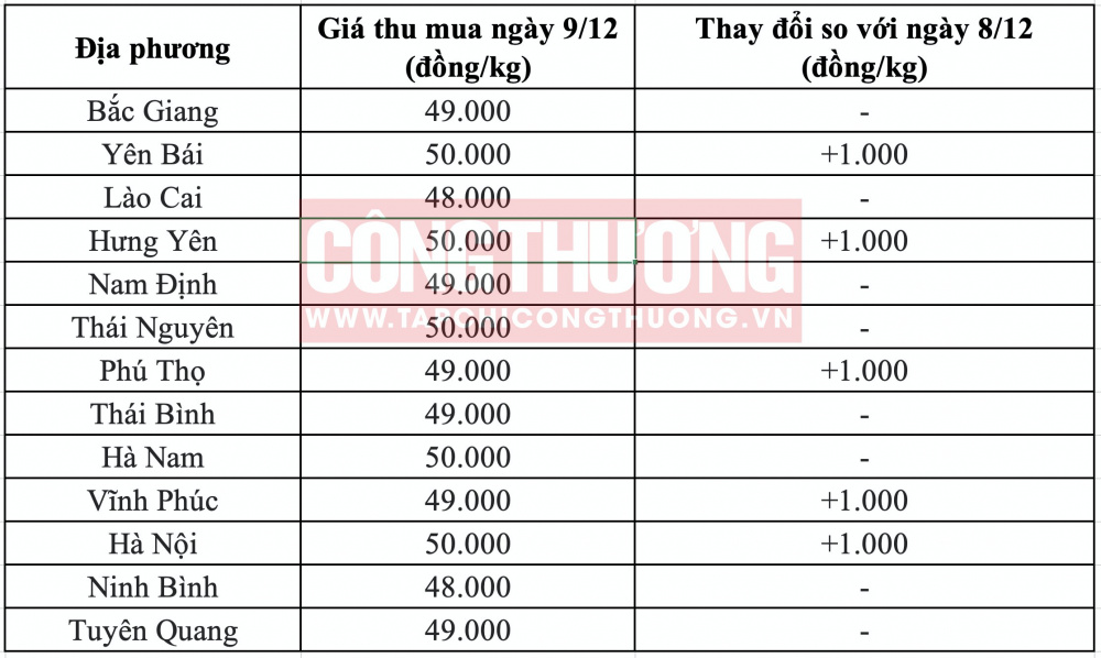 Giá heo hơi hôm nay tại miền Bắc CWIN ✅ Nhà cái cờ bạc trực tuyến tốt nhất và Thương hiệu uy tín
