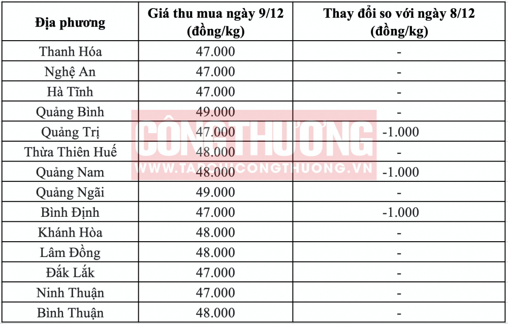 Giá heo hơi hôm nay tại miền Trung CWIN ✅ Nhà cái cờ bạc trực tuyến tốt nhất và Thương hiệu uy tín