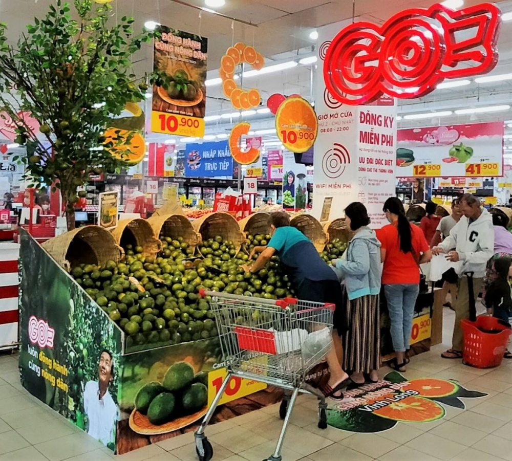 Với giá bán hấp dẫn, cam sành Vĩnh Long khi vừa lên kệ siêu thị GO! đã hút khách ghé mua