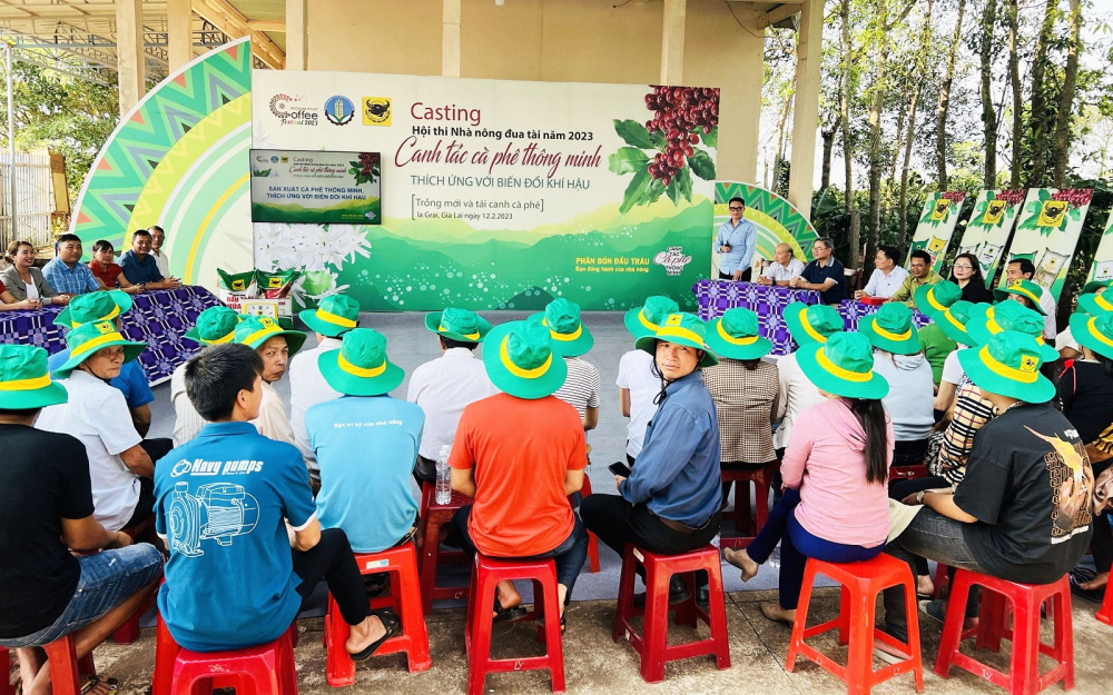 tập huấn cà phê