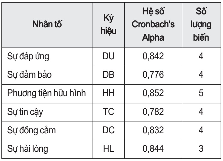 dịch vụ