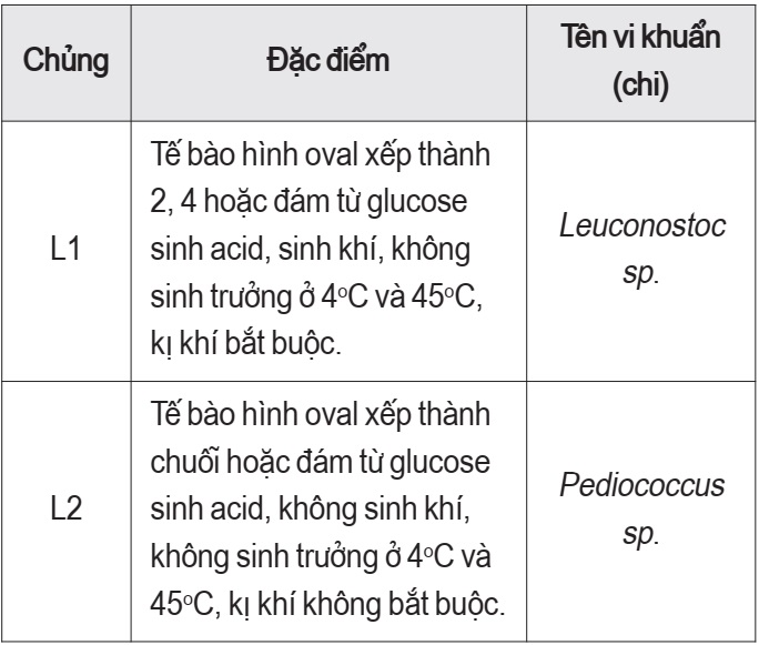 dưa muối