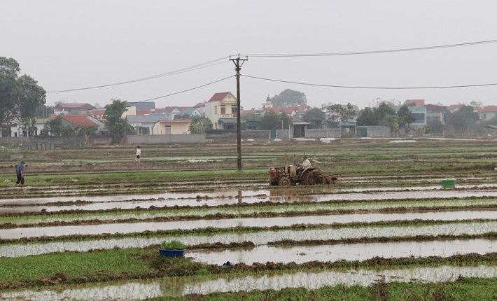 Nông dân ở huyện Ba Vì, TP.Hà Nội làm đất chuẩn bị gieo cấy