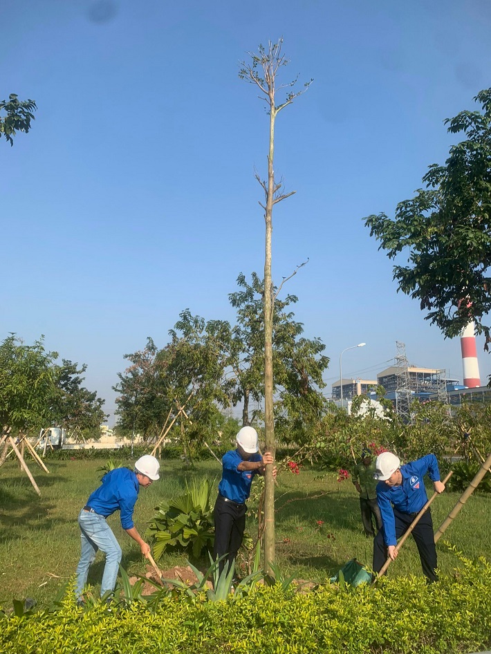 Trồng thêm cây xanh tạo cảnh quan