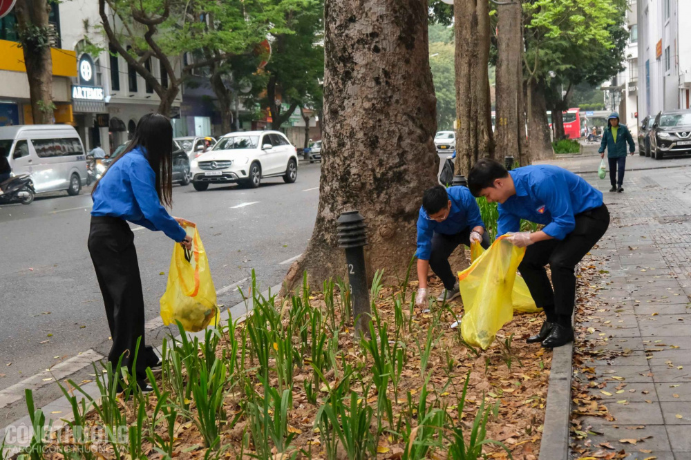 Đoàn viên 4 cơ sở Đoàn ra quân dọn dẹp Tải về ứng dụng CWIN05 ngay hôm nay tại trụ sở Cwin63 sân chơi đỉnh cao