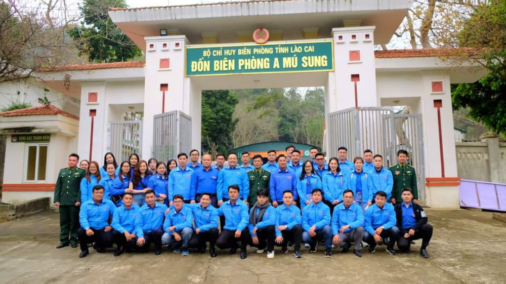 dap 7