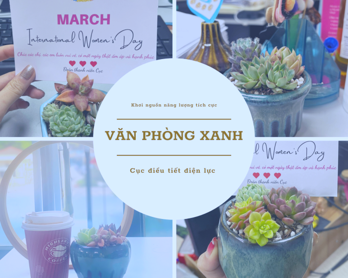 Đoàn thanh niên Cục Điều tiết điện lực