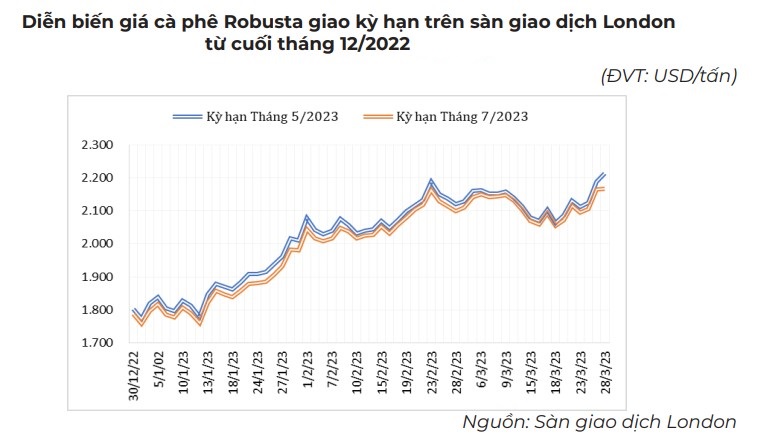 giá cà phê Robusta