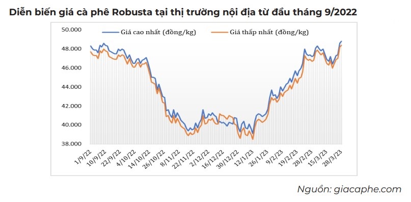 giá cà phê trong nước