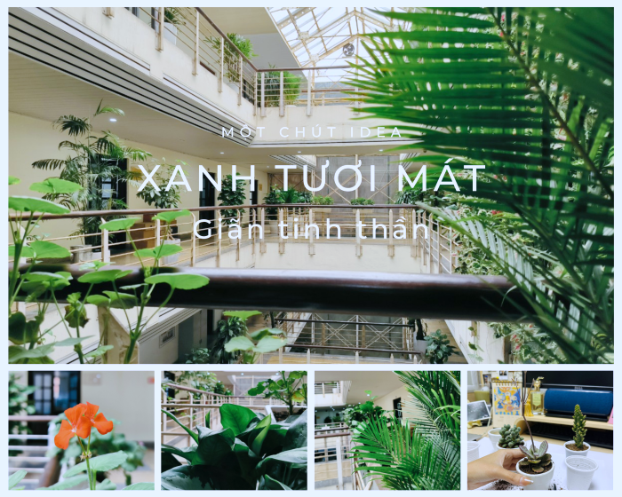 Đoàn Thanh niên Cục Thương mại điện tử và Cwin.com giải trí hiện đại số