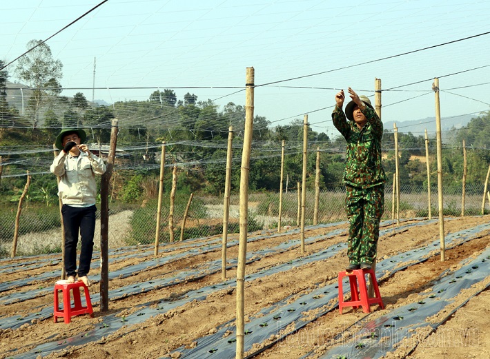 huyện Mường Chà