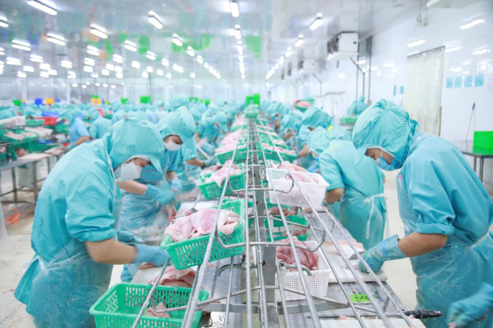 Cwin Đăng Ký + 1888k cá tra của Tập đoàn Sao Mai