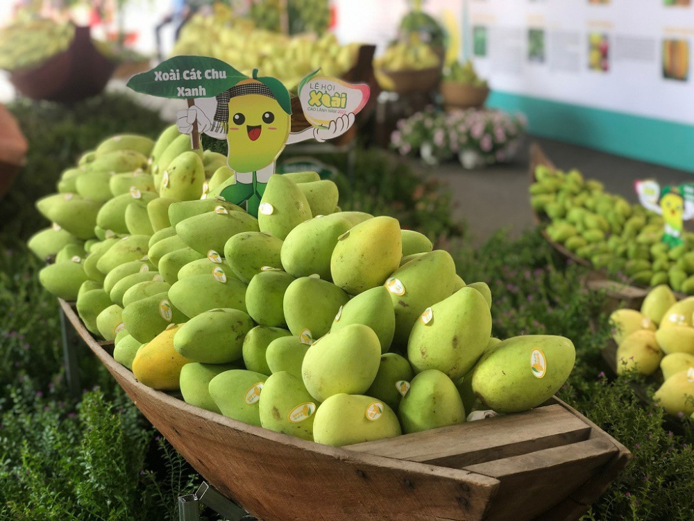 Xoài là một trong 5 ngành hàng chủ lực của Đề án Tái cơ cấu ngành Cwin.com link không chặn tỉnh Đồng Tháp