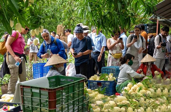 Lễ hội Xoài Đồng Tháp năm 2023 diễn ra ngay thời điểm chính vụ, sẽ góp phần tăng cơ hội xúc tiến tiêu thụ xoài và các sản phẩm từ xoài